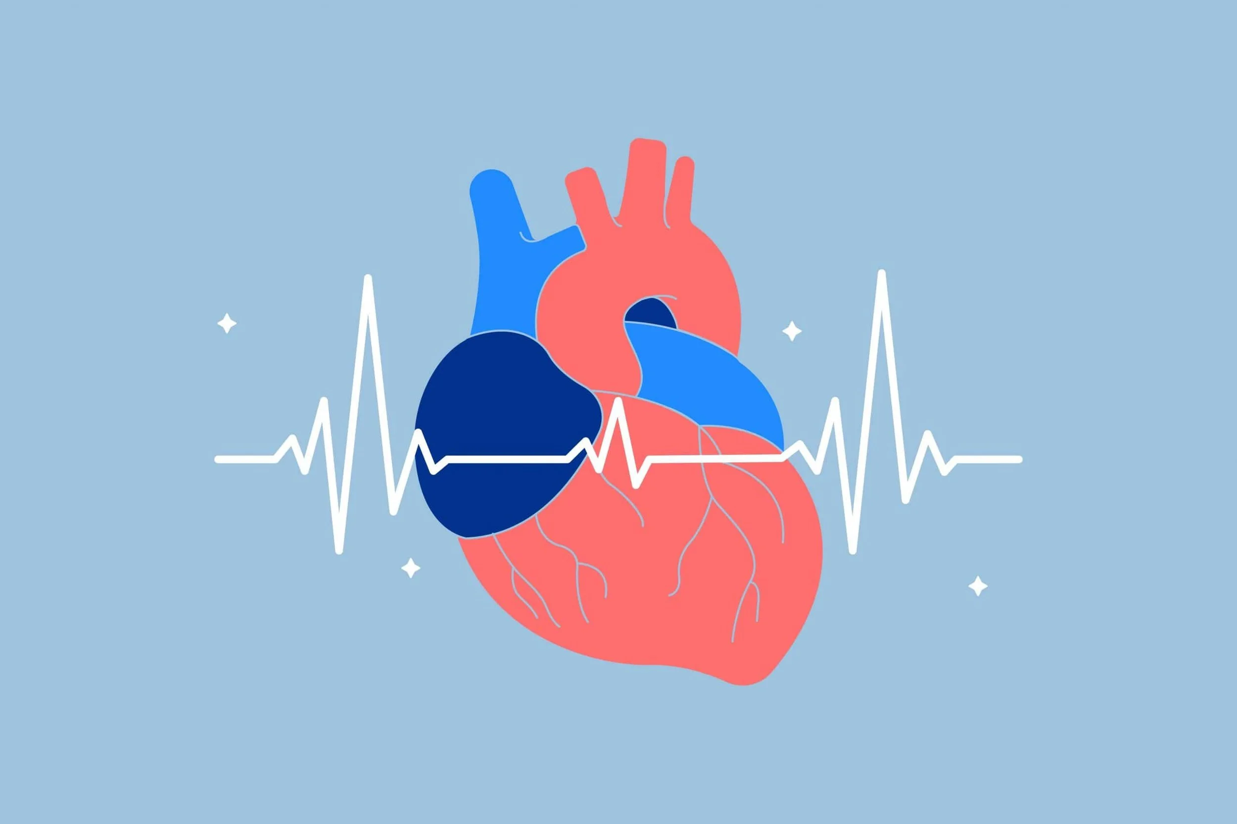 Full-Stack Health Optimization App